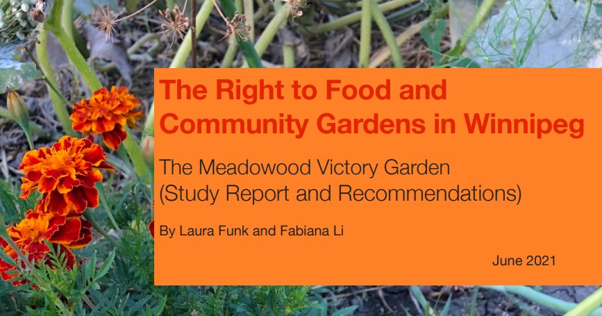 The right to food and community gardens in Winnipeg thumbnail