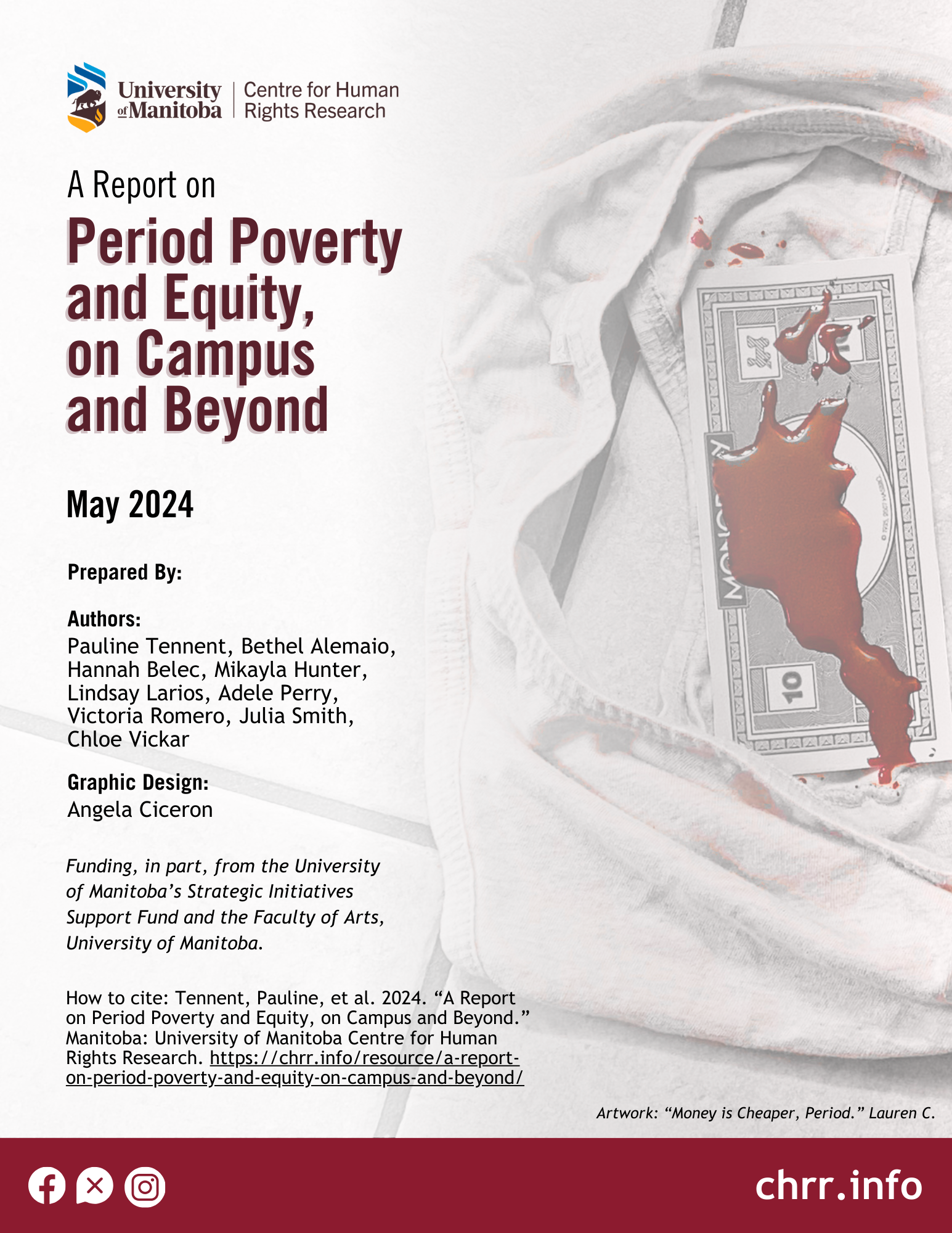 Cover Page of Period Poverty and Equity Final Report. It features artwork of a pair of underwear, with monopoly money on top, covered in what appears to be blood.