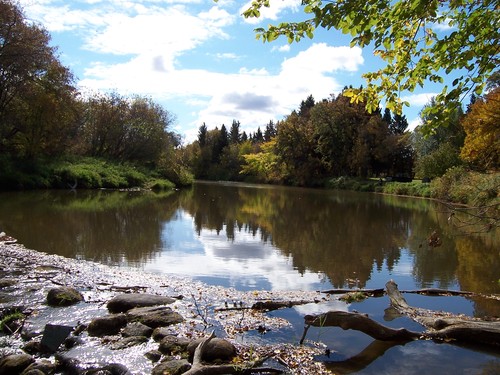 Image of still water surrounded by rock and trees.