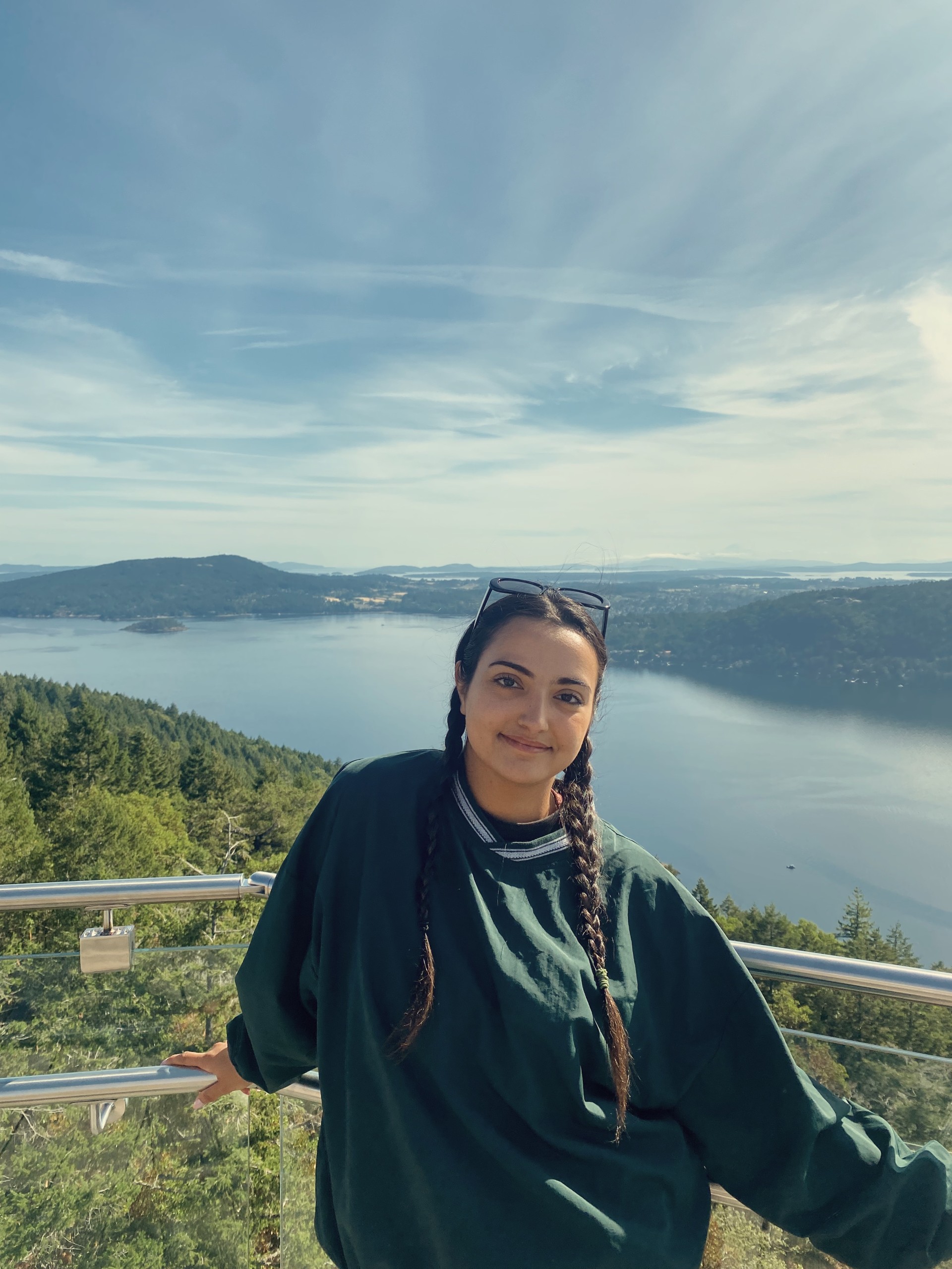 Majestic Moerland standing with a body of water in the background.